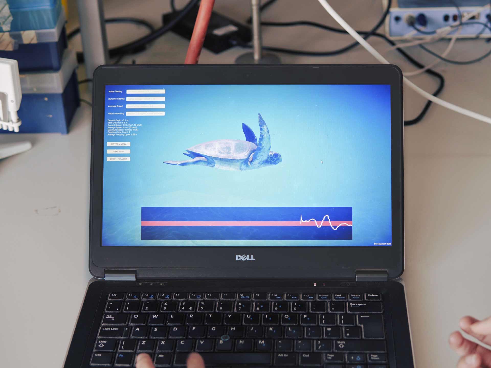 Atlantis 3D turtle simulation on a laptop screen